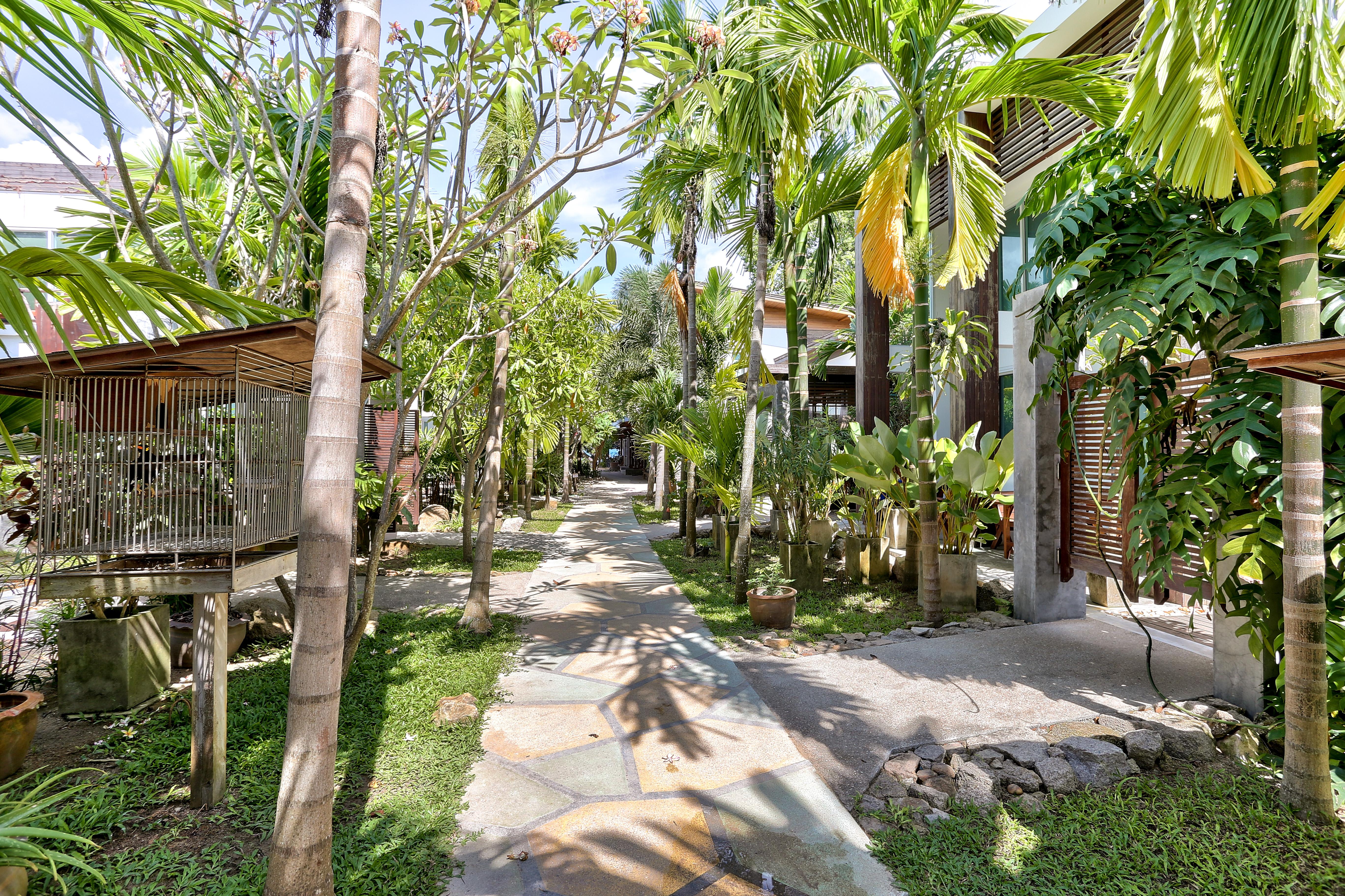 Sairee Hut Resort Ko Tao Eksteriør bilde