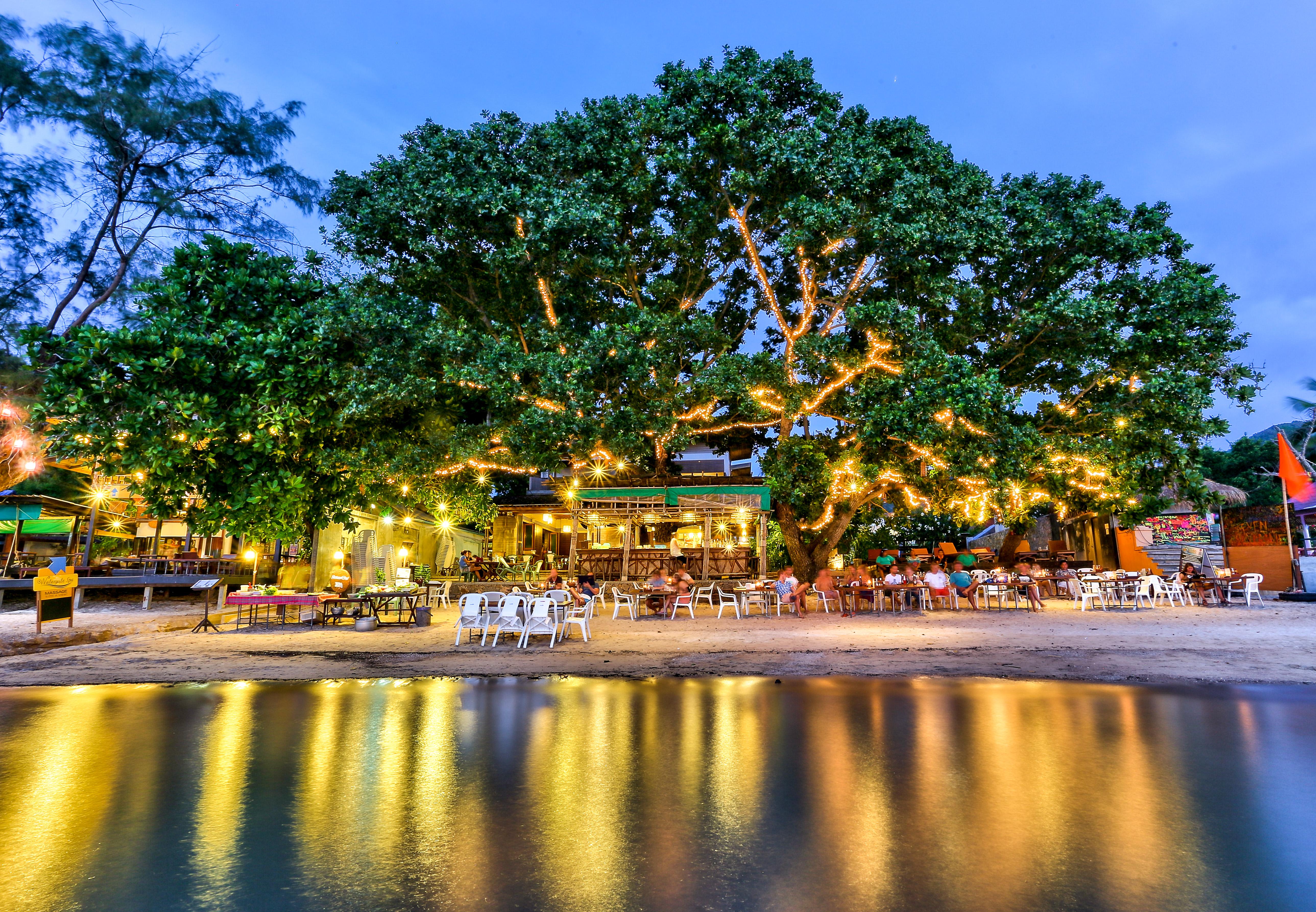 Sairee Hut Resort Ko Tao Eksteriør bilde